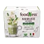 Matcha\u0020Latte\u0020with\u0020Ginseng\u0020